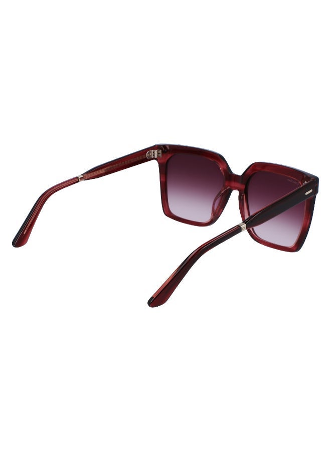 CALVIN KLEIN FULL RIM ACETATE CALVIN KLEIN SUN CK22534S - Image 5