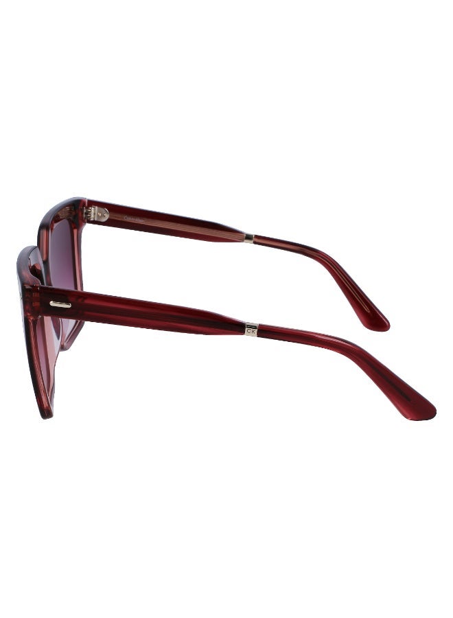 CALVIN KLEIN FULL RIM ACETATE CALVIN KLEIN SUN CK22534S - Image 2