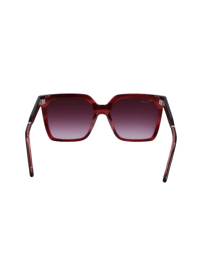 CALVIN KLEIN  FULL RIM ACETATE CALVIN KLEIN SUN CK22534S  | Best Price UAE