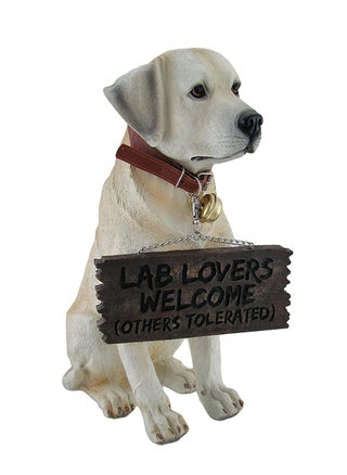 Labrador Retriever Garden Statue with Reversible Welcome Sign Resin Dog Figurine HandPainted Lab Decor for Lawn Porch or Entryway 135 Inch High Dont Stop Retrievin  Lab Lovers Welcome - pzsku/ZA060B6F885D8BC4C3AD9Z/45/1750416555/ad3e03c2-9688-48e0-b33a-6800809352b1