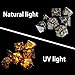 Rule Dice Natural Flame Yooperlite Gemstone DND Dice Set 7 Pcs Stone dice Set Handmade Polyhedral DD Gem Dice with Gift Metal Box for Dungeons and Dragons MTG Role Playing Games - Image 4