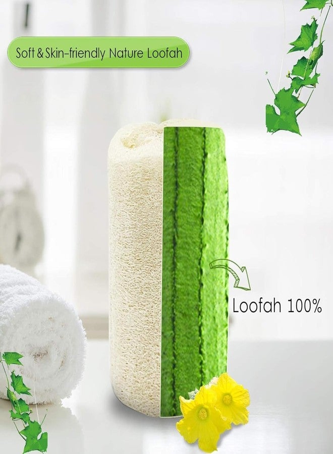 Organic B Lufa Bath Sponge with Wooden Handle - Natural Loofahfor Men and Women, Eco-Friendly Lofas for Bath & Shower, Long Ergonomic Grip for Easy Back Scrubbing, Bath Accessory (Pack of 2) - Image 4
