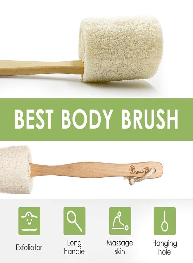 Organic B Lufa Bath Sponge with Wooden Handle - Natural Loofahfor Men and Women, Eco-Friendly Lofas for Bath & Shower, Long Ergonomic Grip for Easy Back Scrubbing, Bath Accessory (Pack of 2) - Image 3