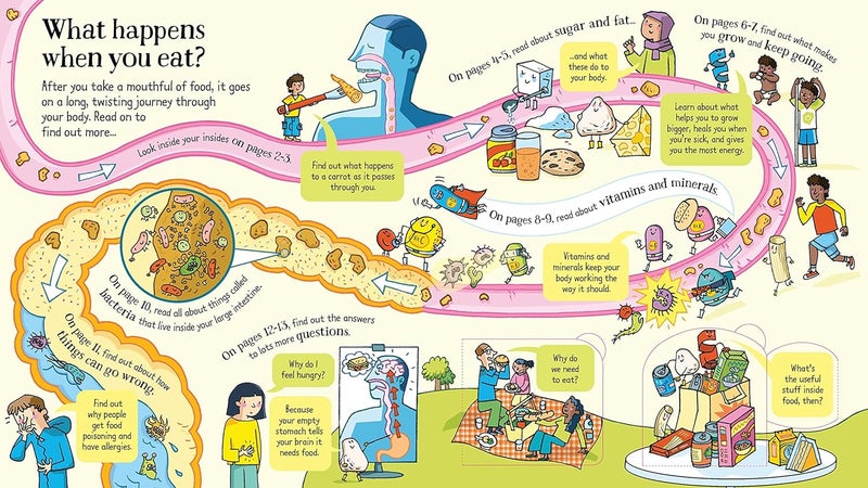 Look Inside What Happens When You Eat - Image 3