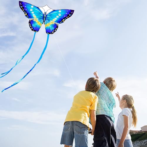 HONBO Butterfly Kites for Kids & Adults,55" x 28" Large Beginner Kite for Kids Ages 4-8,Easy to Fly for Beginners, Each Kite with 300ft Line Handle,Beach Kites for Outdoor Family Trip (Blue) - Image 2