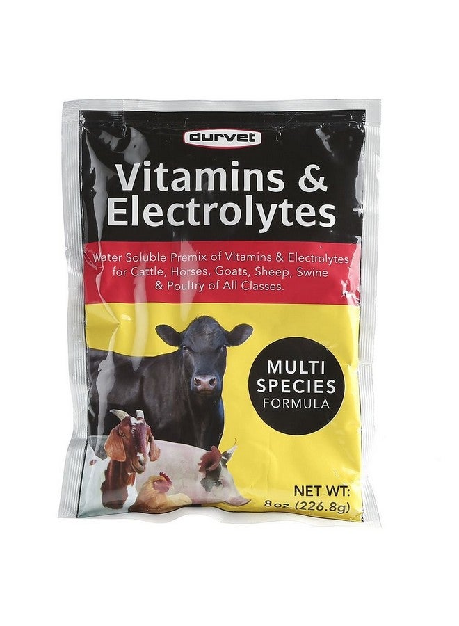 DURVET 136028 Vitamins & Electrolytes, 8 oz