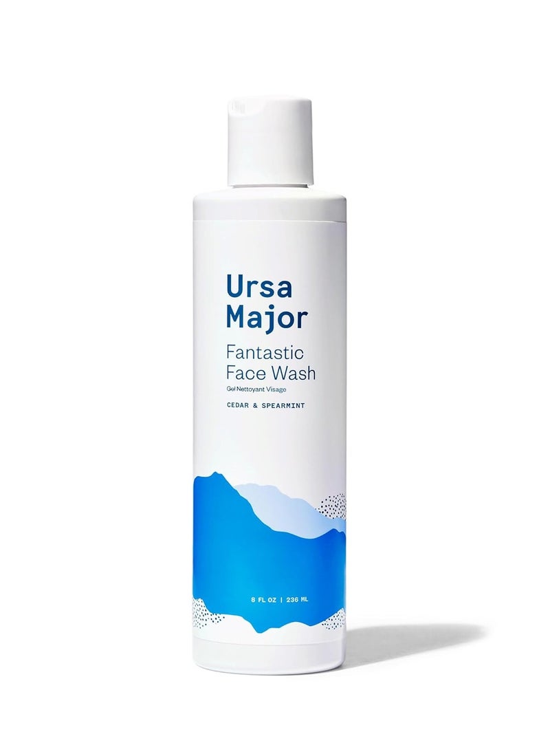 Ursa Major Ursa Major Fantastic Face Wash | Natural, Vegan & Cruelty Free | Daily Foaming Facial Cleanser for Men & Women | 8 ounces  - Image 1