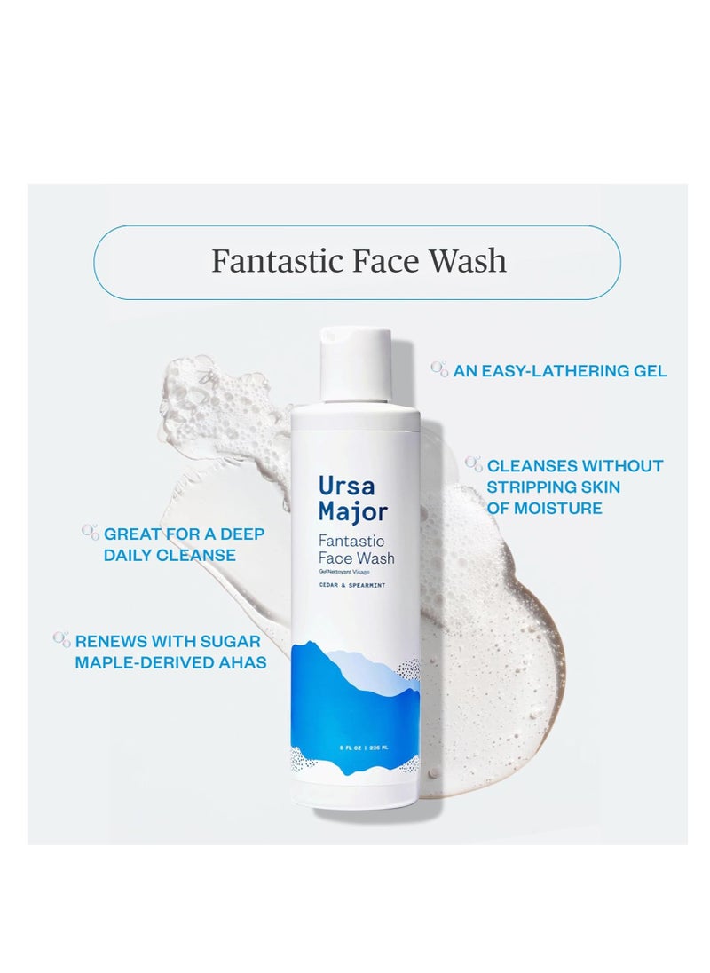 Ursa Major Ursa Major Fantastic Face Wash | Natural, Vegan & Cruelty Free | Daily Foaming Facial Cleanser for Men & Women | 8 ounces  - Image 2