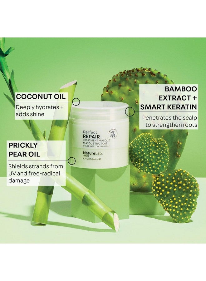 ناتشيور لاب توكيو قناع ناتشر لاب طوكيو بيرفكت ريبير لعلاج الشعر: حماية من الحرارة واللون، قناع علاجي لتقوية وإصلاح الشعر الباهت والتالف والهش (200 مل/6.7 أونصة سائلة) - Image 4