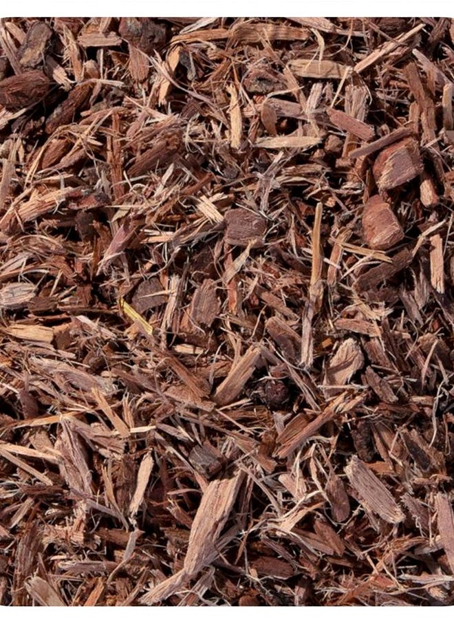 Starwest Botanicals Organic White Willow Bark Cut & Shifted 1 lb (453.6 g) 