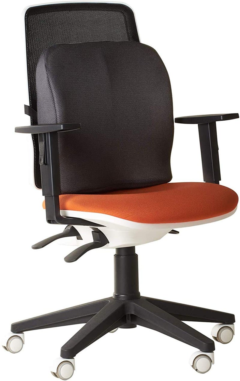 obliq Memory Foam Chair Cushion for Back Pain Relief Orthopedic Lumbar Support Backrest Pillow for Office Chairs & Cars (Black) - Image 1