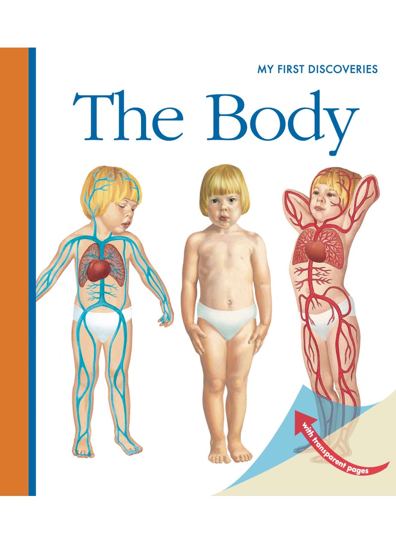 Body 