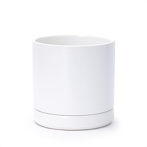 D'vine Dev 6.5 Inch Ceramic Planter Pot with Drainage Hole and Saucer, Indoor Cylinder Round Flower Pot, White, 94-O-C-1 - Image 1