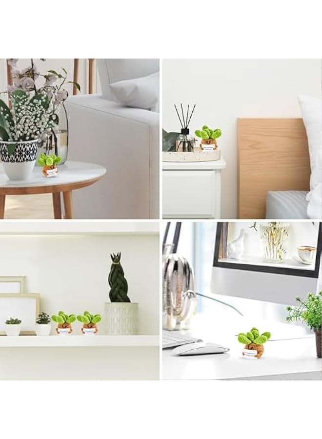 نيبمينينت هدايا نباتات عصارية إيجابية: دمى كروشيه للدعم العاطفي، هدايا عيد ميلاد للنساء والرجال وزملاء العمل والطلاب - زينة مكتبية لطيفة ومضحكة من البطاطس الإيجابية لتخفيف الضغط - Image 5