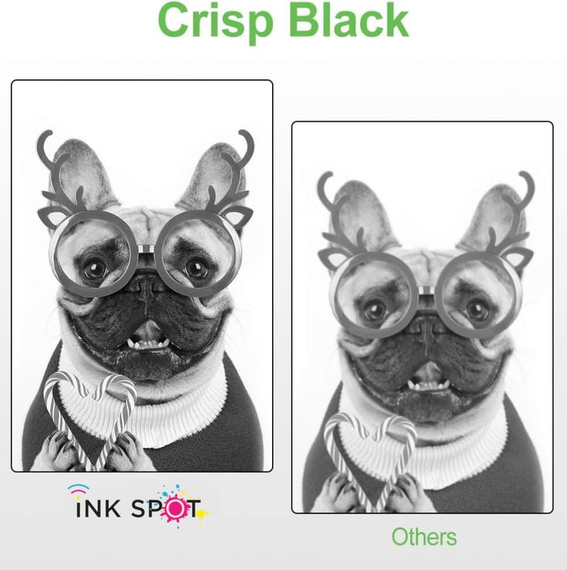 INKSPOT PLQ 20 Compatible Printer Ribbon Cartridge for EPSON PLQ-20/20M/20K/20KM Printers (1 PIC) - Image 5