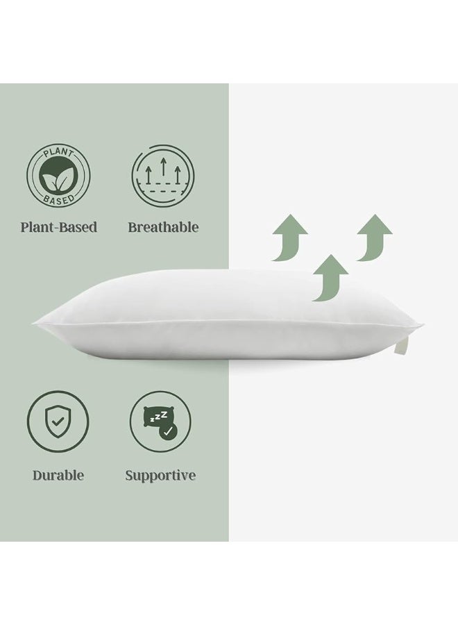 تي ام جرب الفخامة في كل ليلة: مخدة TM Home بولي داون 50×70 مع غطاء قطني وثلاث مستويات راحة  - Image 2