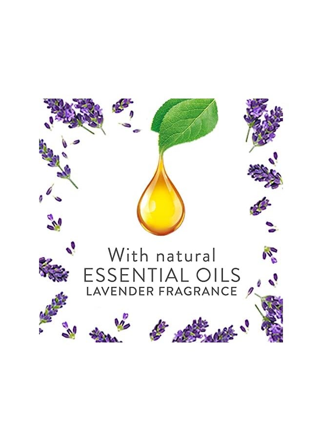 Air Wick - Freshener Electrical Plug In Kit With Essential Oil DiffUser Lavender, 19 Ml - Image 1