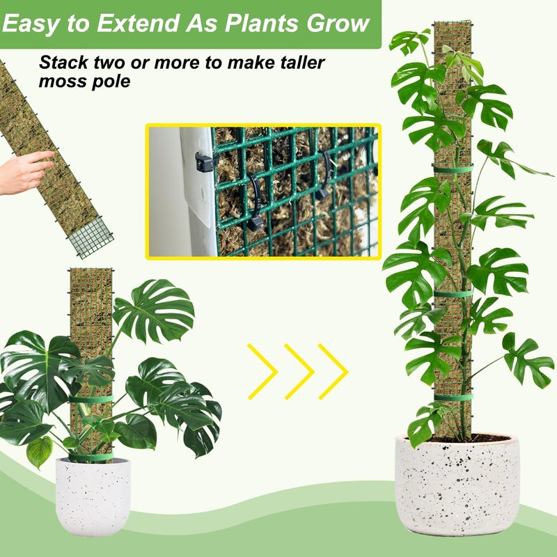 HOLANHING 60"/40"/24" Metal Moss Pole, D Shape Sphagnum Moss Pole, Moss Poles for Climbing Plants, Monstera, Indoor Climbing Plants (2 Each of 60" 40" 24") - Image 4