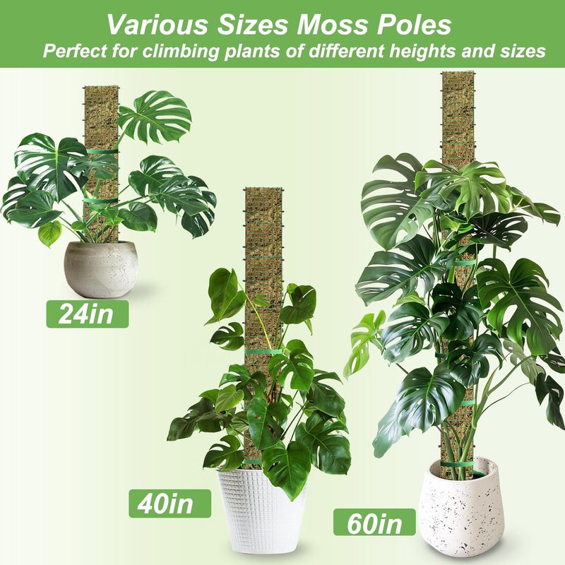 HOLANHING 60"/40"/24" Metal Moss Pole, D Shape Sphagnum Moss Pole, Moss Poles for Climbing Plants, Monstera, Indoor Climbing Plants (2 Each of 60" 40" 24") - Image 2