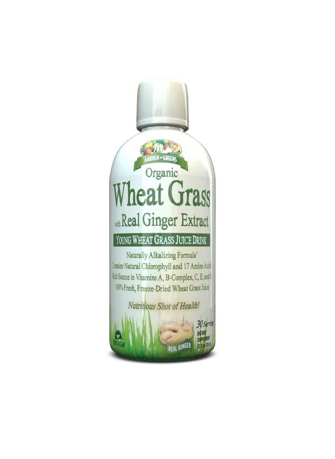 GARDEN GREENS Wheat Grass Liquid With Real Ginger Extract Nature Perfect Superfood 32 Servings  - Image 1