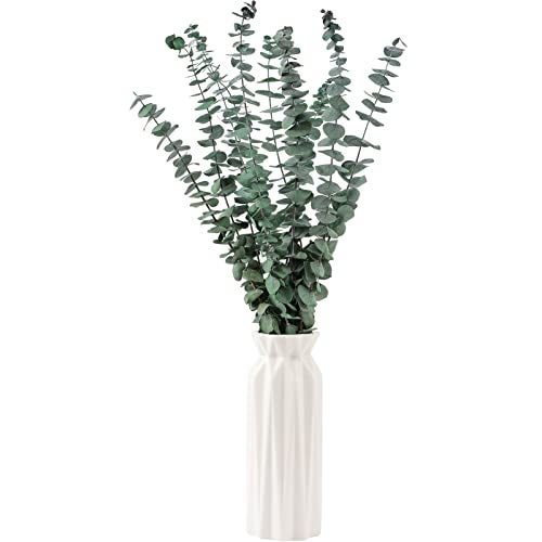 FAVOWREATH 10 Pcs Dried Eucalyptus Stems 17" Real Eucalyptus for Shower Hanging 100% Made from Fresh Leaves, Wedding, Home, Farmhouse, DIY Spring Decor Bathroom Decor Home Decor - Image 2