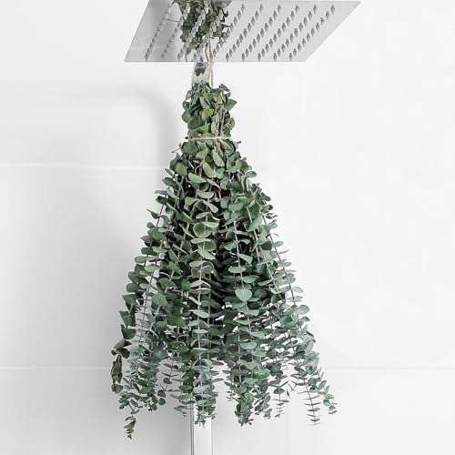 FAVOWREATH 10 Pcs Dried Eucalyptus Stems 17" Real Eucalyptus for Shower Hanging 100% Made from Fresh Leaves, Wedding, Home, Farmhouse, DIY Spring Decor Bathroom Decor Home Decor - Image 1
