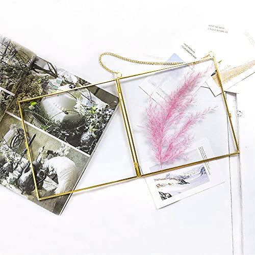 fujack Pressed Flower Frame, Hanging Picture Frame for DIY Artwork Display Clear Glass Wall Brass Frames for Plant Specimen Dried Flower Square Photo Frame 6x6 - Gold - Image 5