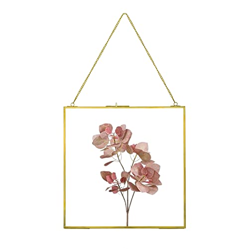 fujack Pressed Flower Frame, Hanging Picture Frame for DIY Artwork Display Clear Glass Wall Brass Frames for Plant Specimen Dried Flower Square Photo Frame 6x6 - Gold - Image 1