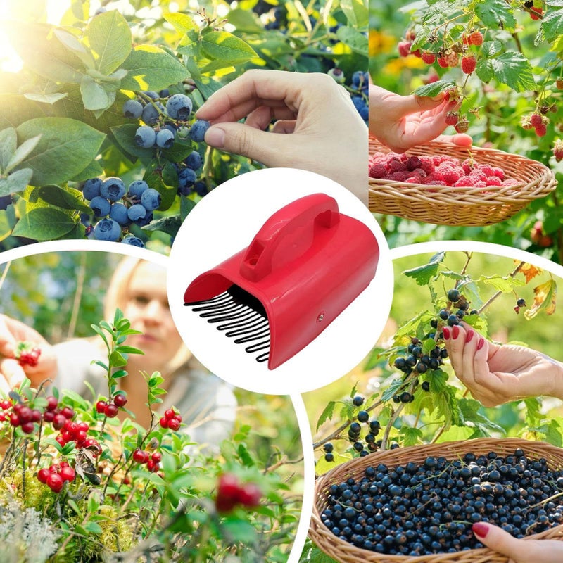 Blueberry Rake Picker Comb Safety Ergonomic Anti Slip Grip Harvest Tool - Image 3