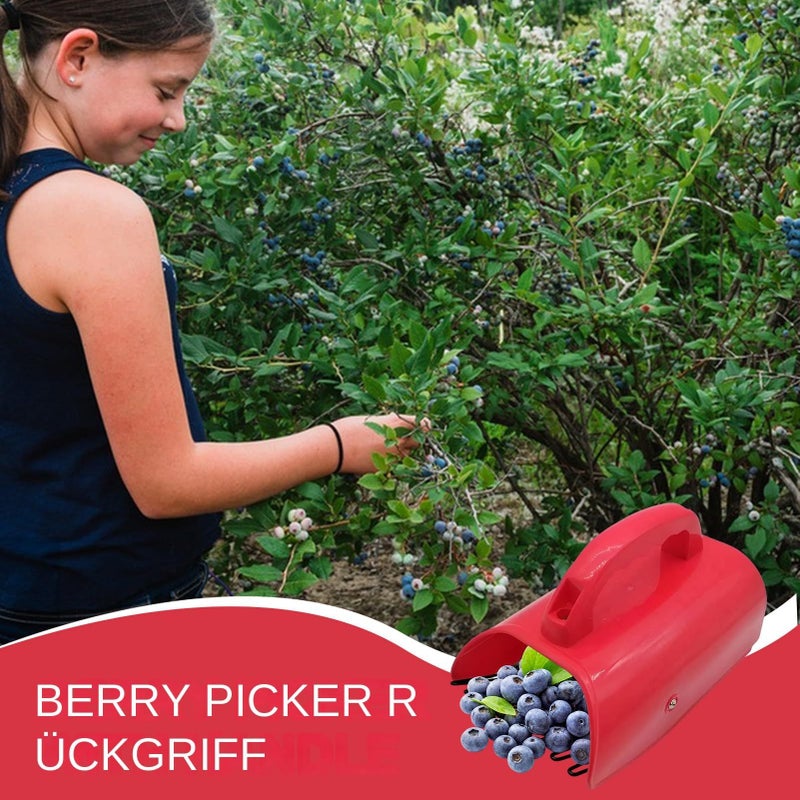 Blueberry Rake Picker Comb Safety Ergonomic Anti Slip Grip Harvest Tool - Image 4