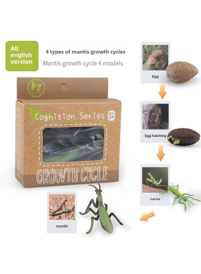 Realistic Simulation Animal Plant Models Toy Collection - Dinosaurs Dragons Unicorns Mermaids Sharks More-Color:PL127-2430 Mantis Growth Cycle + English Card + Color Box 104.9G  - Image 1