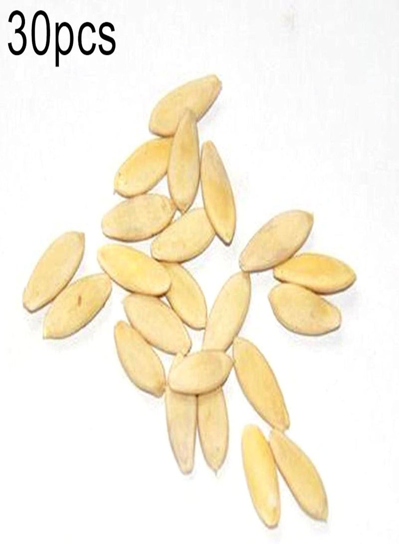 جي جوت بذور للزراعة، 30 قطعة من بذور الخيار، نباتات بونساي لذيذة ومغذية للحديقة - بذور الخيار - 30 قطعة - Image 2