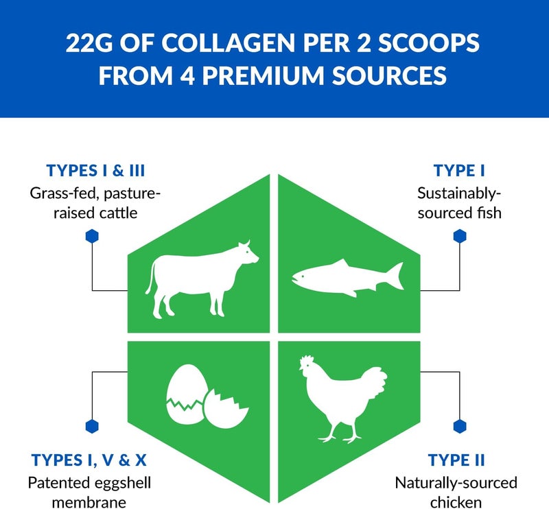 BioTrust Ageless Multi Collagen Peptides Powder  5 Types I II III V X  Fruit Punch Collagen Powder for Women  Men  Hydrolyzed Protein  Grass Fed Beef Fish Chicken Eggshell Membrane - Image 4