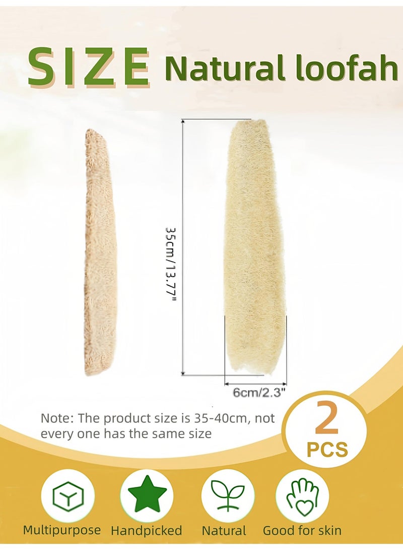 Loucky Natural Egyptian Loofah-2pcs, 100% Organic Exfoliating Loofa, Eco-Friendly Biodegradable Body Scrubber, Exfoliating Bath Sponge, Unscented No Bleach（35-40cm ） - Image 2