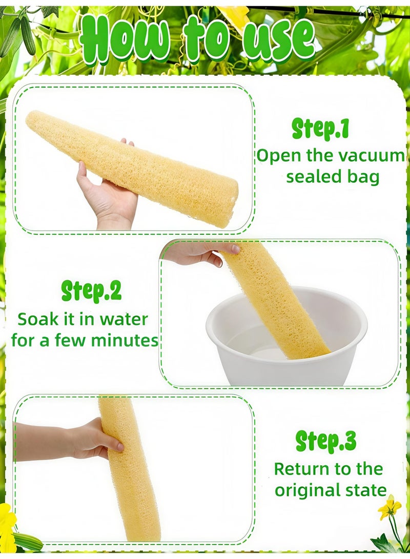 Loucky Natural Egyptian Loofah-2pcs, 100% Organic Exfoliating Loofa, Eco-Friendly Biodegradable Body Scrubber, Exfoliating Bath Sponge, Unscented No Bleach（35-40cm ） - Image 4