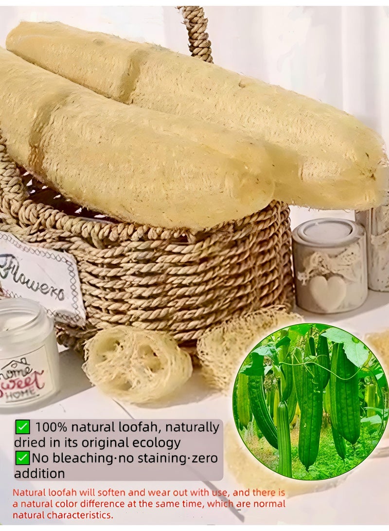 Loucky Natural Egyptian Loofah-2pcs, 100% Organic Exfoliating Loofa, Eco-Friendly Biodegradable Body Scrubber, Exfoliating Bath Sponge, Unscented No Bleach（35-40cm ） - Image 5