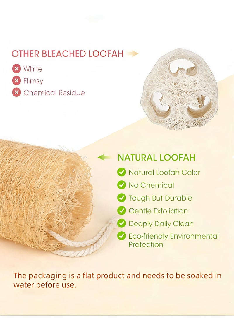 Loucky Natural Egyptian Loofah-2pcs, 100% Organic Exfoliating Loofa, Eco-Friendly Biodegradable Body Scrubber, Exfoliating Bath Sponge, Unscented No Bleach（35-40cm ） - Image 3