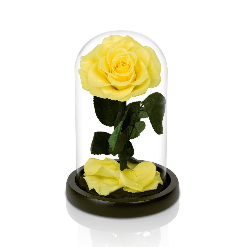 NATROSES Handmade Preserved Roses in Glass Dome Yellow Roses Preserved Flowers Gifts for Women Mothers Day Flowers