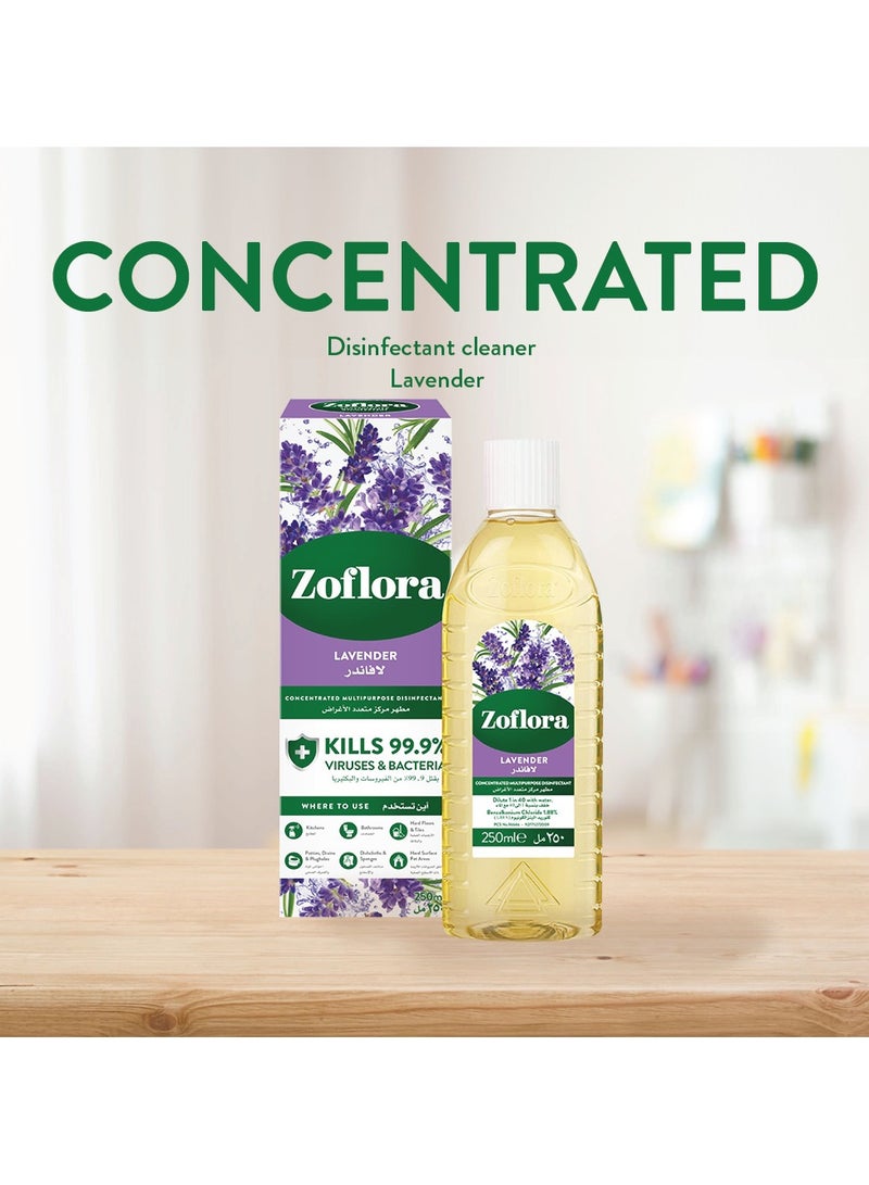 زوفلورا Multi-Purpose Concentrated Disinfectant Lavender None - Image 3