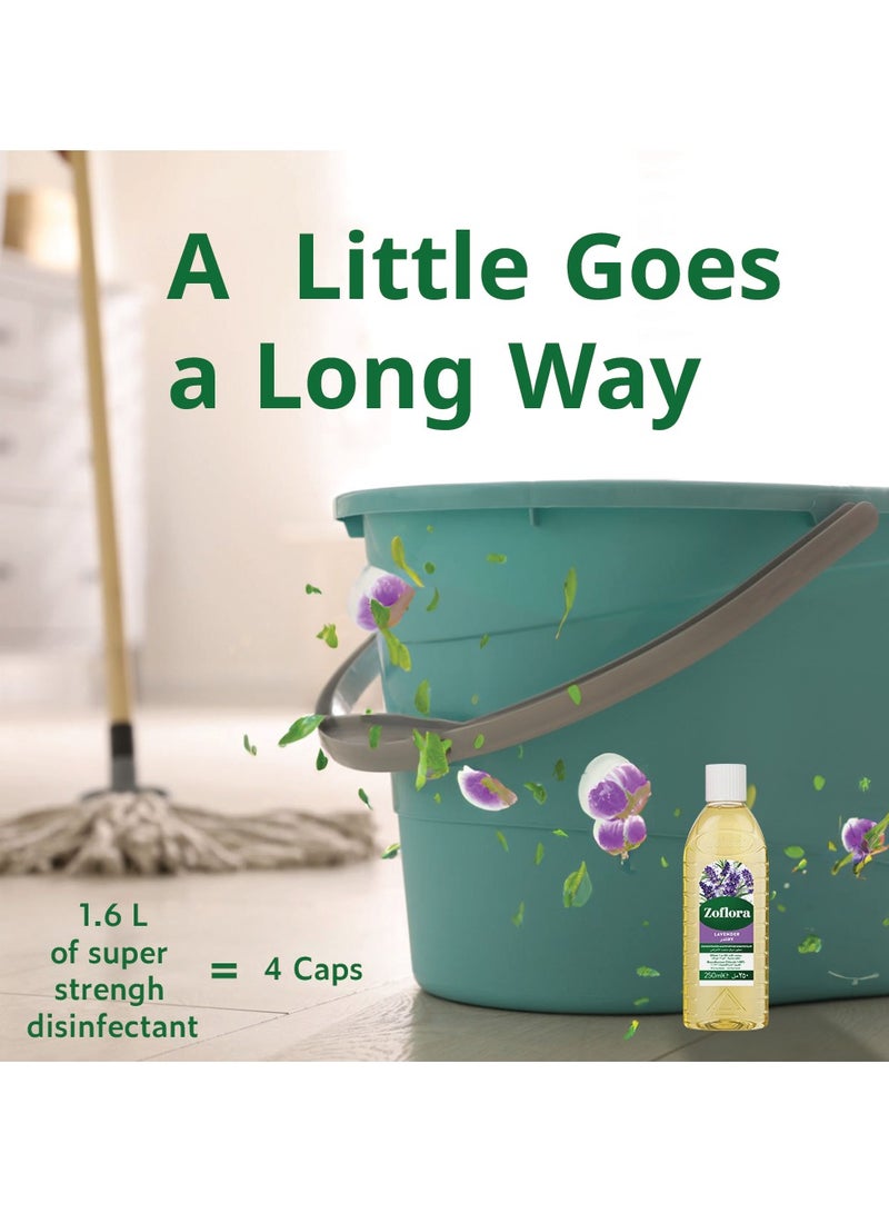 زوفلورا Multi-Purpose Concentrated Disinfectant Lavender None - Image 5
