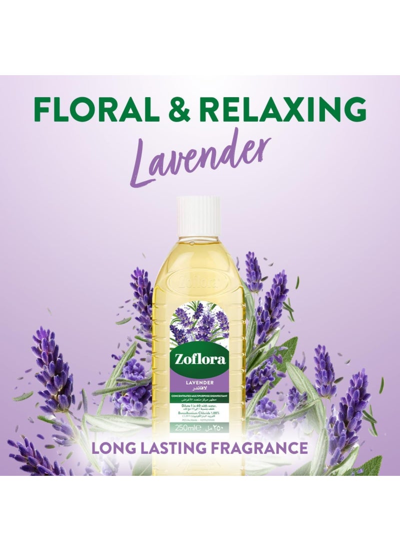 Zoflora Concentrated Disinfectant, Lavender 250ml - Multi-purpose Cleaner for Floors, Kitchens, and Bathrooms - Image 5