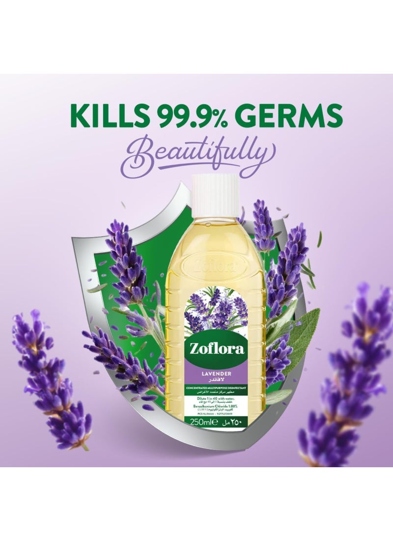Zoflora Concentrated Disinfectant, Lavender 250ml - Multi-purpose Cleaner for Floors, Kitchens, and Bathrooms - Image 2