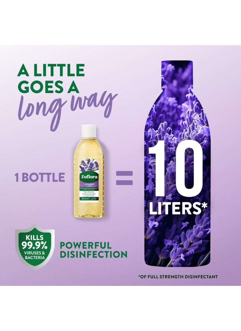 Zoflora Concentrated Disinfectant, Lavender 250ml - Multi-purpose Cleaner for Floors, Kitchens, and Bathrooms - Image 3