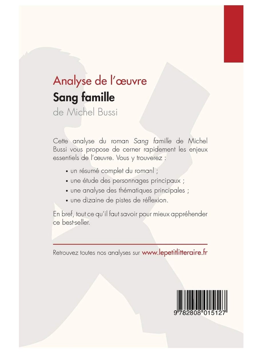 Sang famille de Michel Bussi (Analyse de l'oeuvre): Analyse complète et résumé détaillé de l'oeuvre  - Image 2
