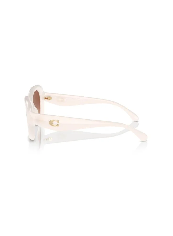 COACH 0Hc8391U Round Sunglasses