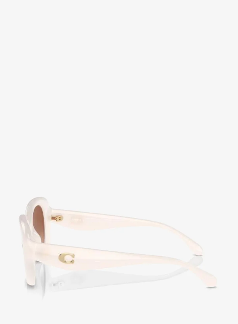 Coach  0Hc8391U Round Sunglasses for Women | Best Price UAE