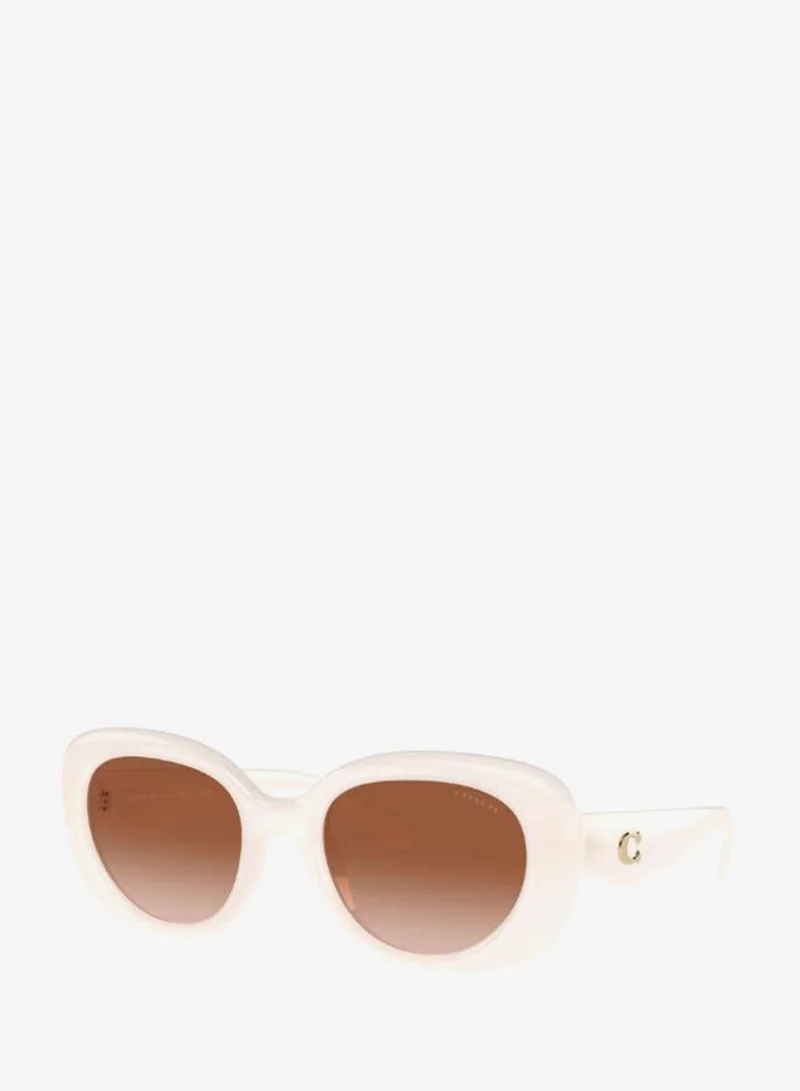 Coach  0Hc8391U Round Sunglasses for Women | Best Price UAE