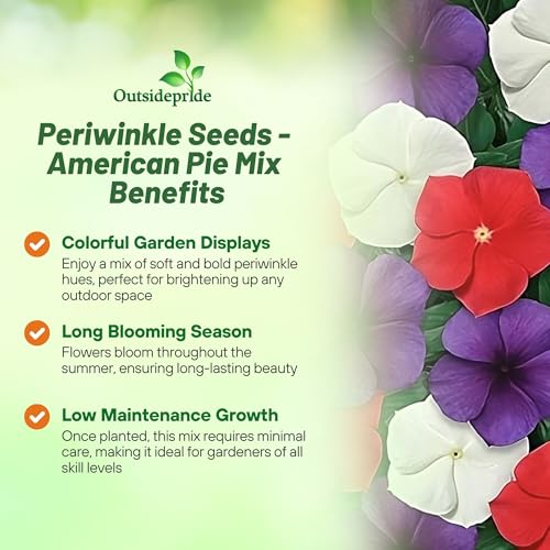 Outsidepride 50+ Seeds- Vinca Periwinkle American Pie Garden Flower, Ground Cover, & Container Plant Mix - Image 3