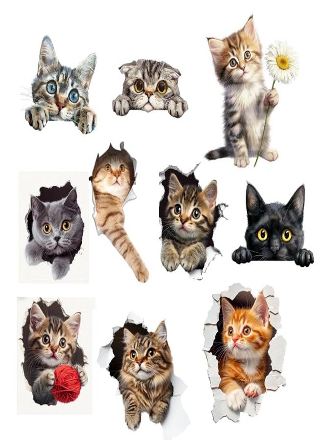 Zaiphany Cute Kitten Wall Decals, 3D Cat Wall Decals Peel and Stick for Girls Bedroom,Cat Wall Stickers & Murals Removable - Image 1