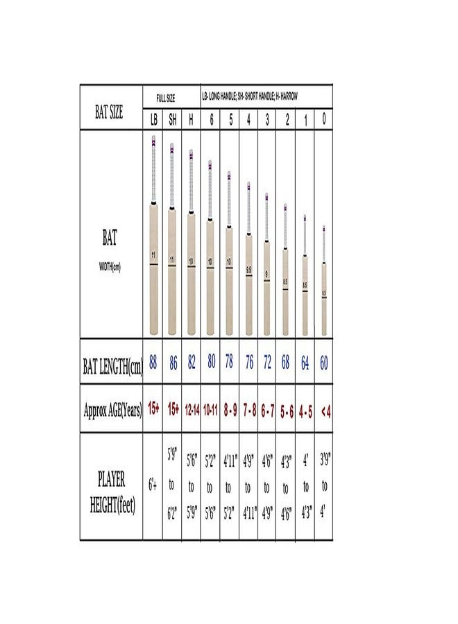 Grès GRS® Popular Willow Wooden Cricket Bat for Kids (Size 2 for Age Group 6-7 Years Kids) & 2 Tennies Ball - Image 5
